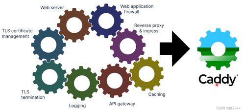 Caddy 与其他 Web 服务器和工具链 一个现代化的对比